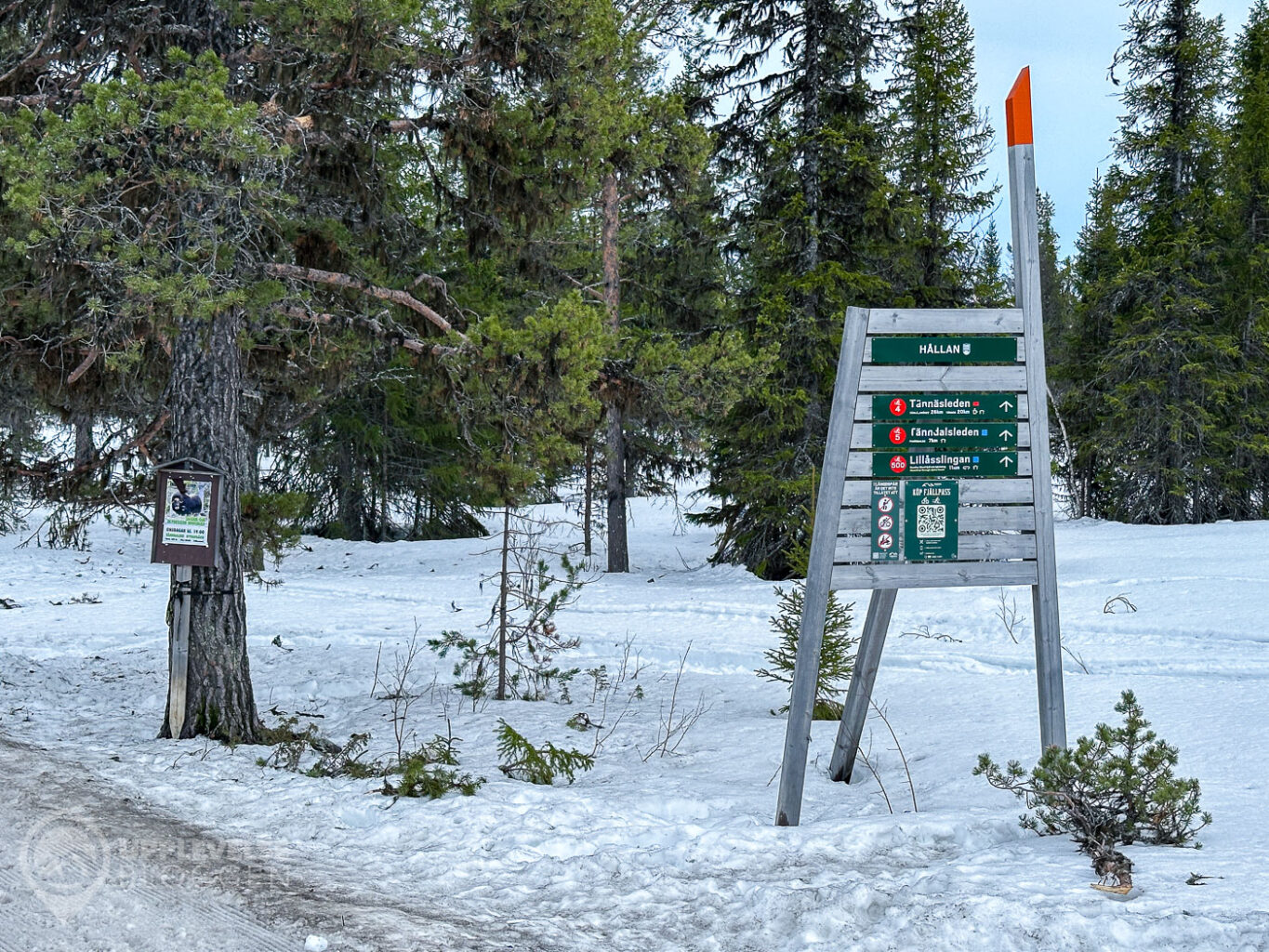 Tänndalsleden vid Högsta Hållan