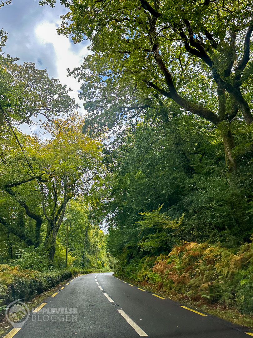 Roadtrip i Glengarriff