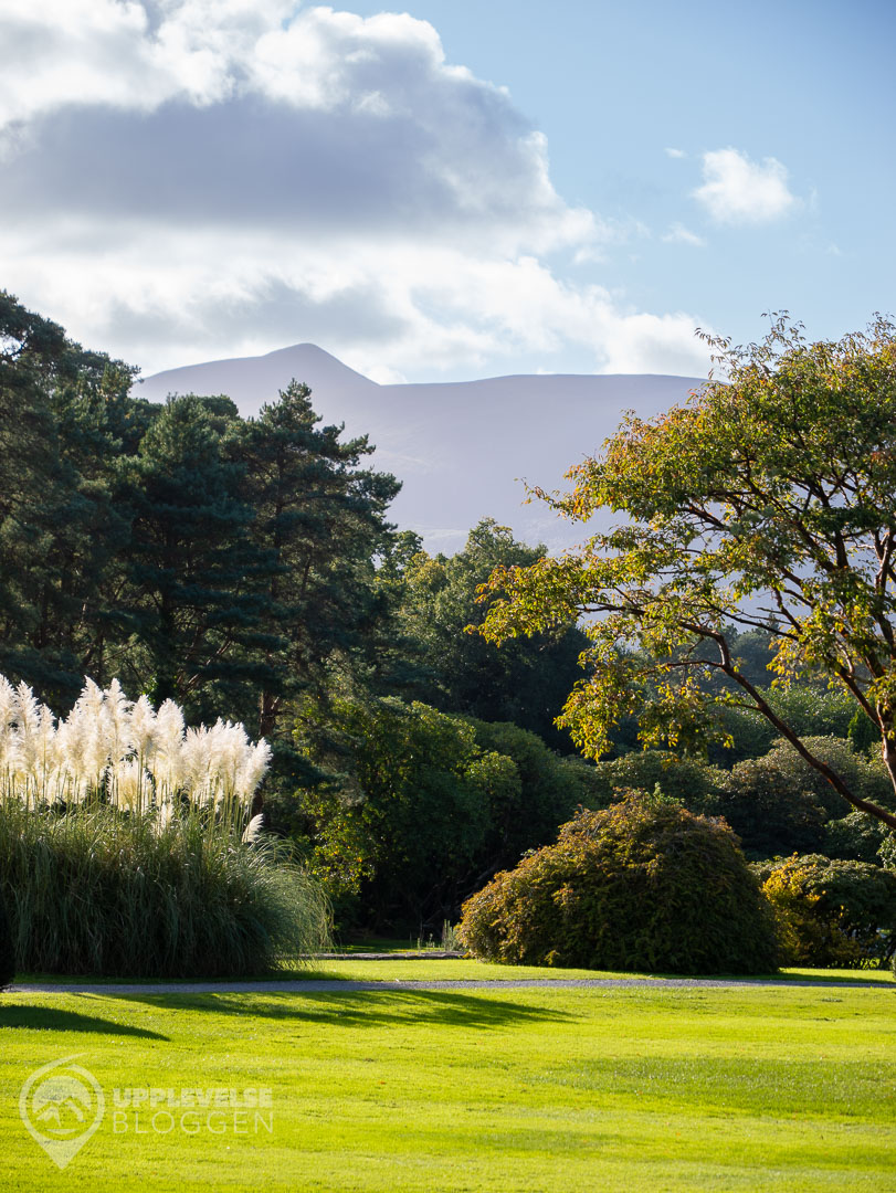Muckross House and gardens
