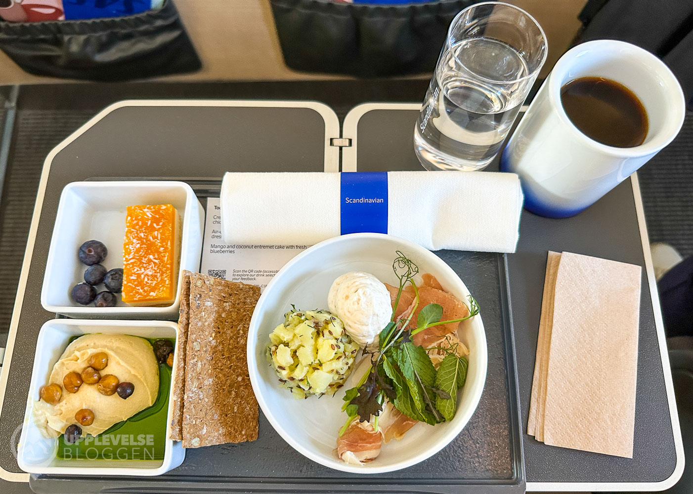 SAS European Business Class på A320neo