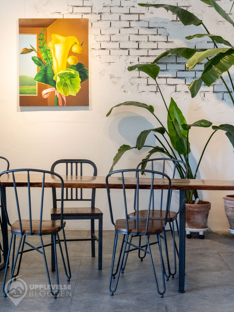 Café Rabbit, Busan
