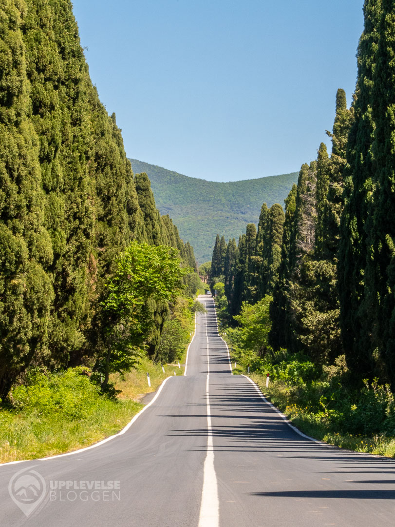 Viale dei Cipressi