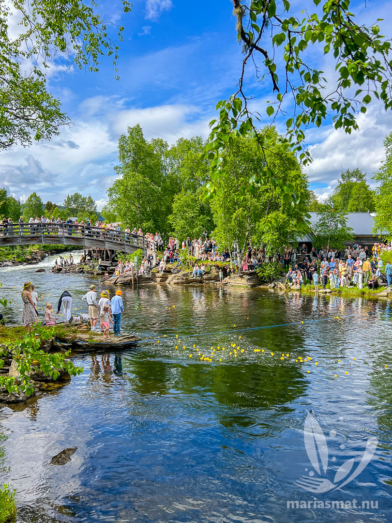 Ankrace på Ljusnan