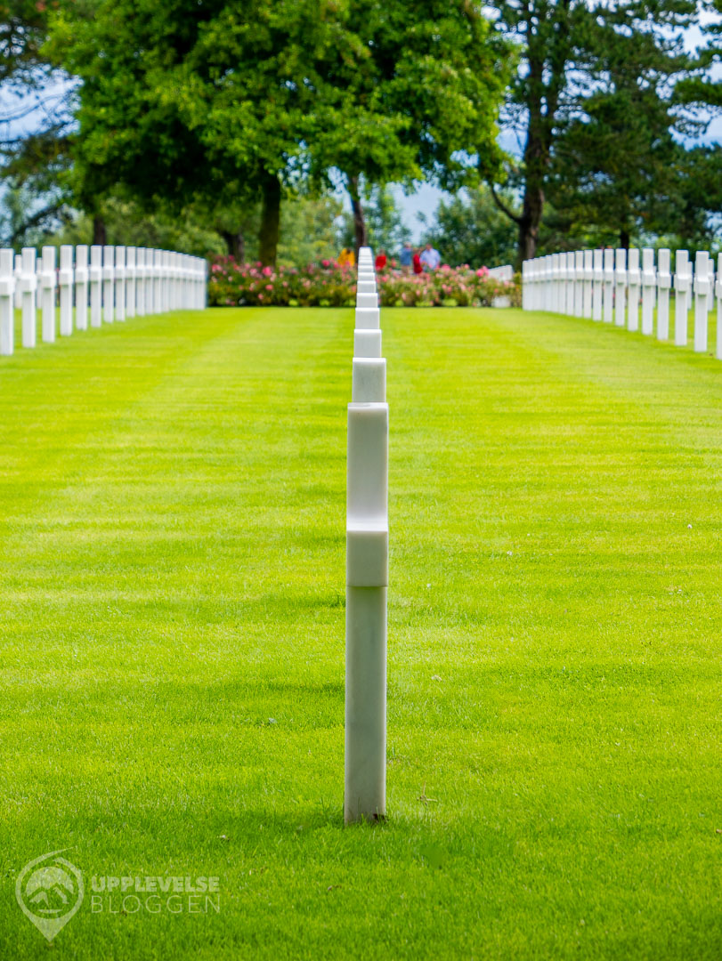 Gravstenar på rad på Normandy American Cemetery