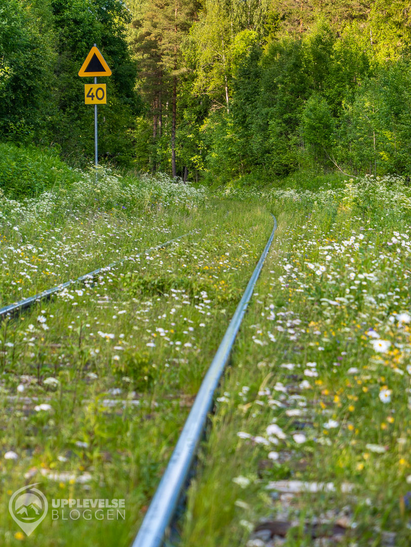 Inlandsbanan norr om Östersund