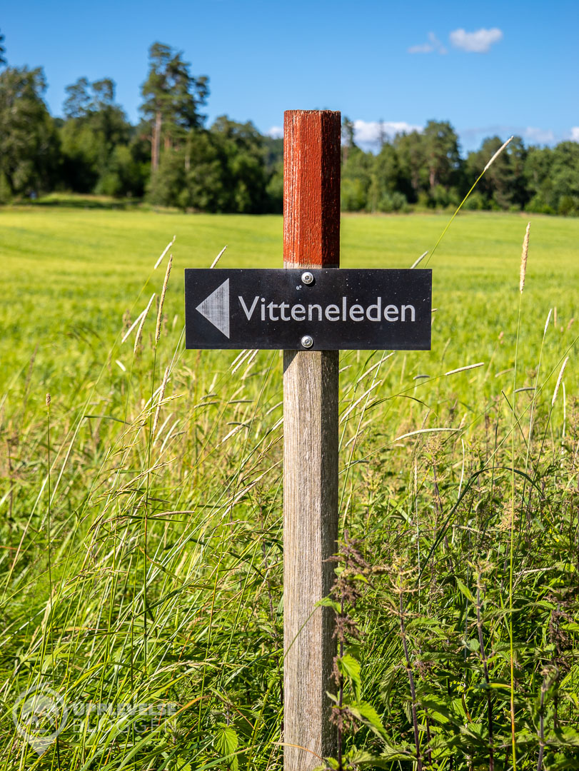 Vitteneleden där guldskatten hittades