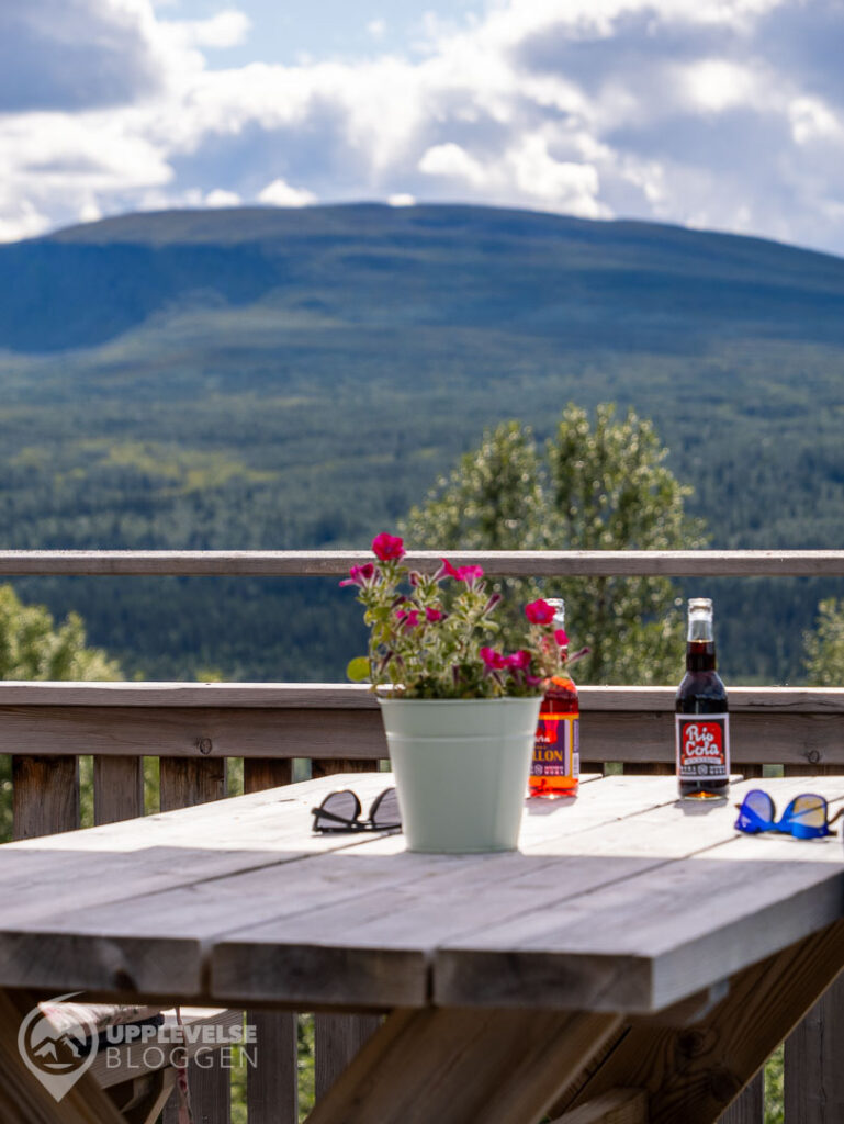 Sommarcafé på Trôa i Bruksvallarna