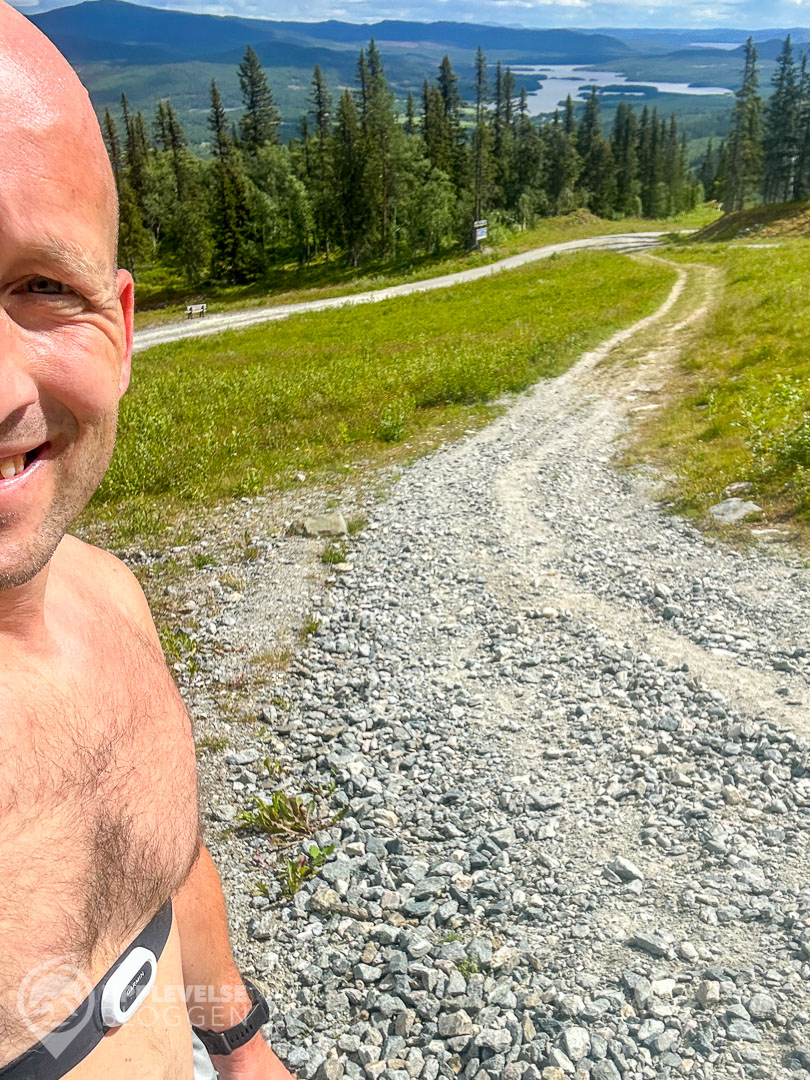 Dryden längs Långa bergsturen i Funäsdalen