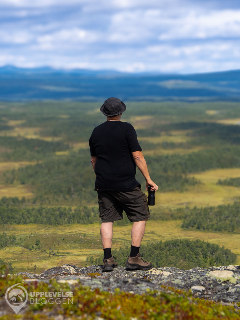 Erik spanar ut över Härjedalen