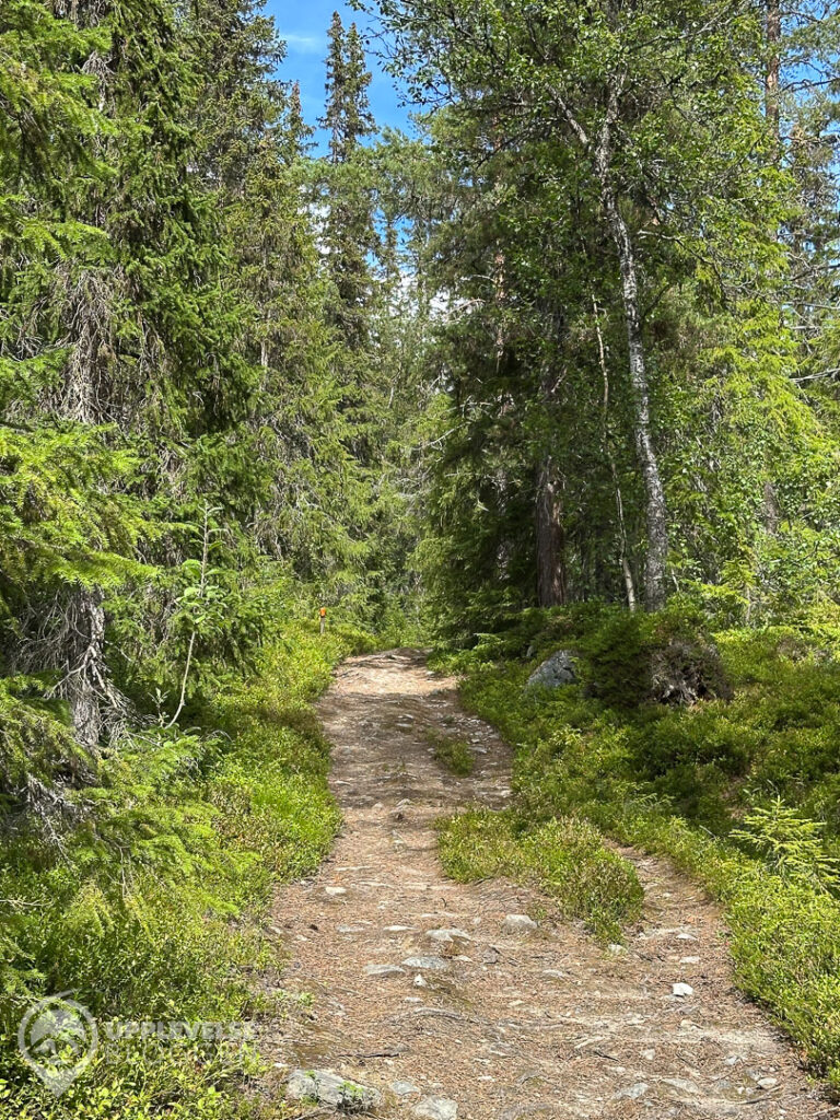 Stig längs Funäsdalsberget