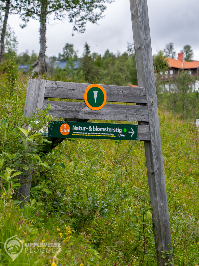 Blomsterstigen i Tänndalen
