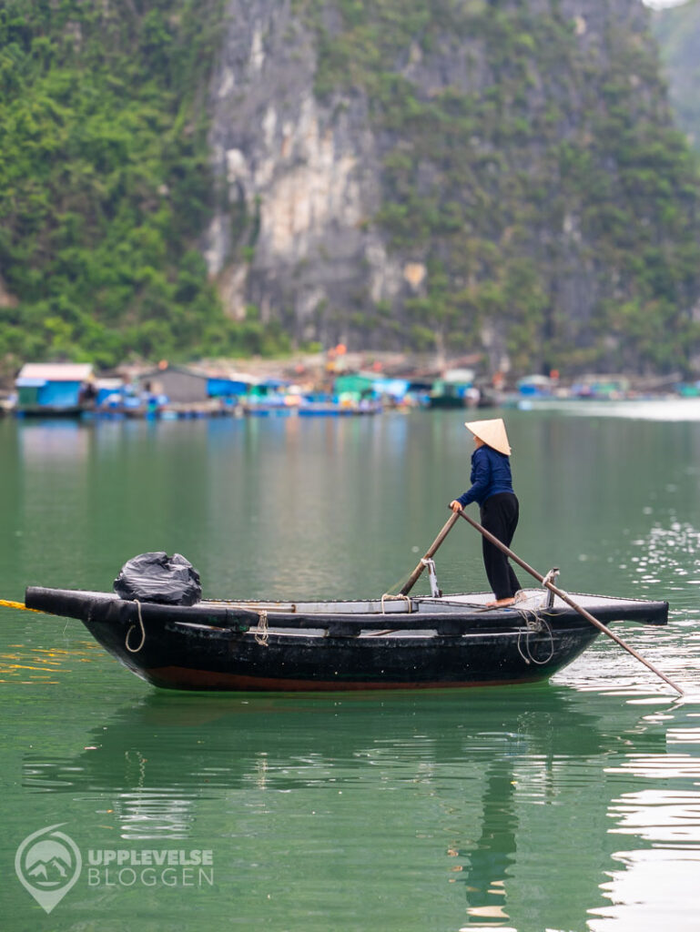 Fiskare i Halong Bay