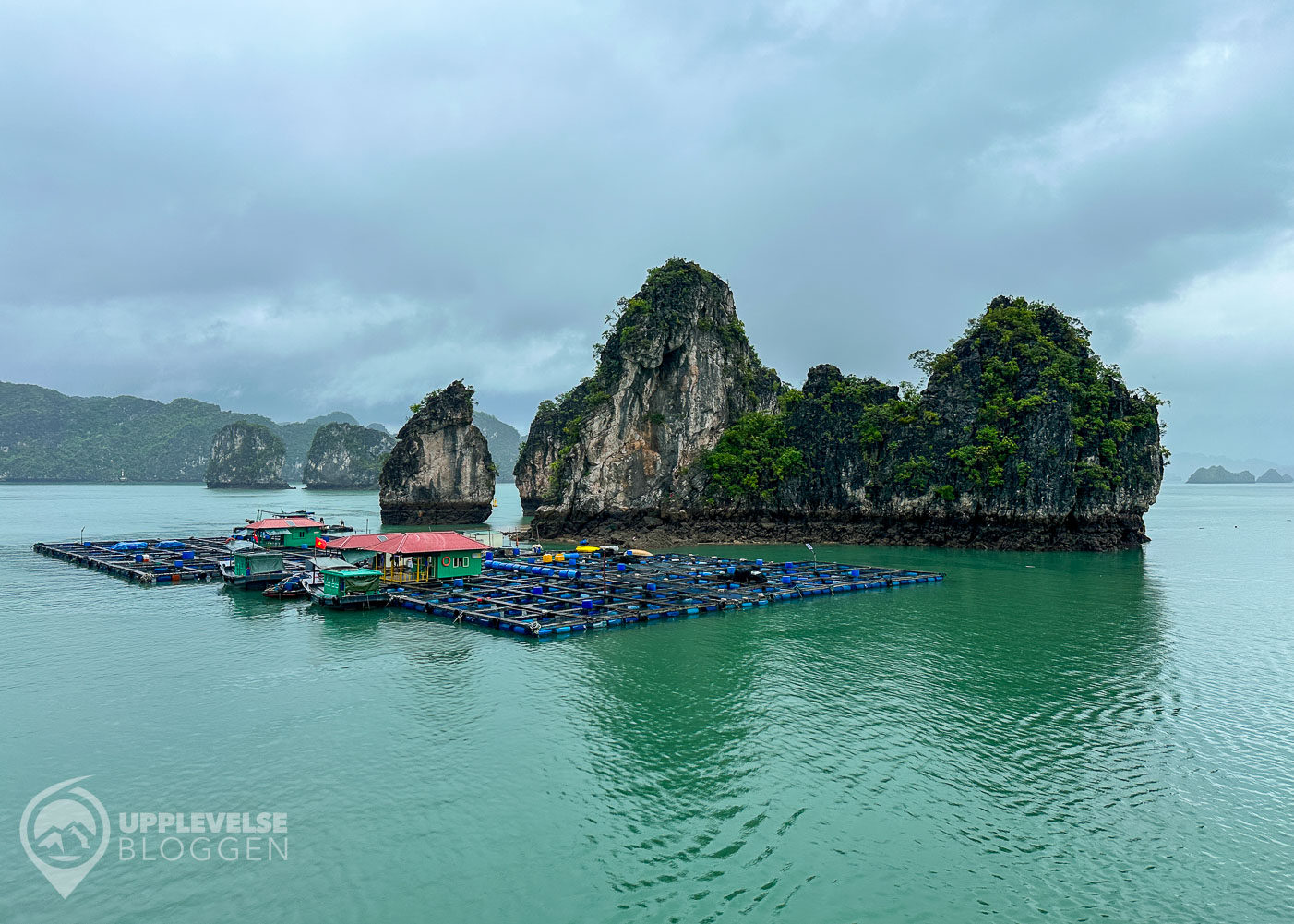 Flytande fiskeö i Ha Long-bukten