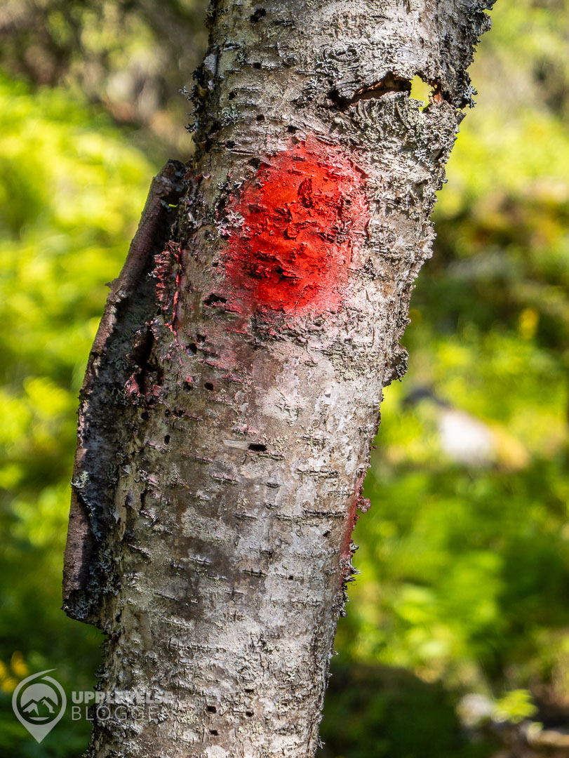 Ledmarkering på Ormruet