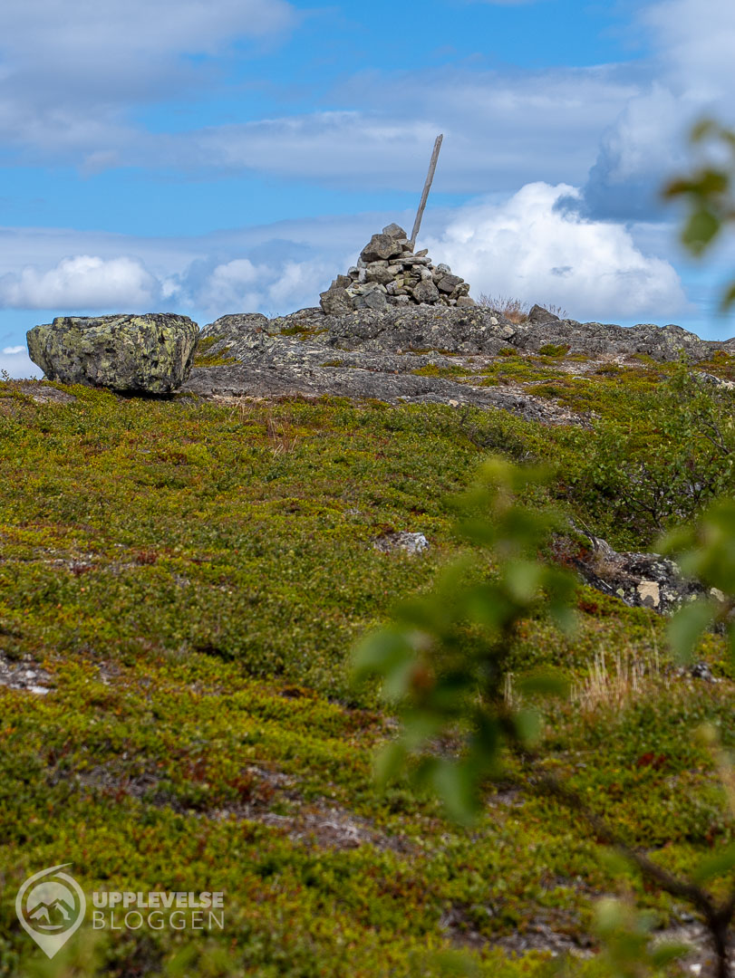 Toppröset på Ormruet