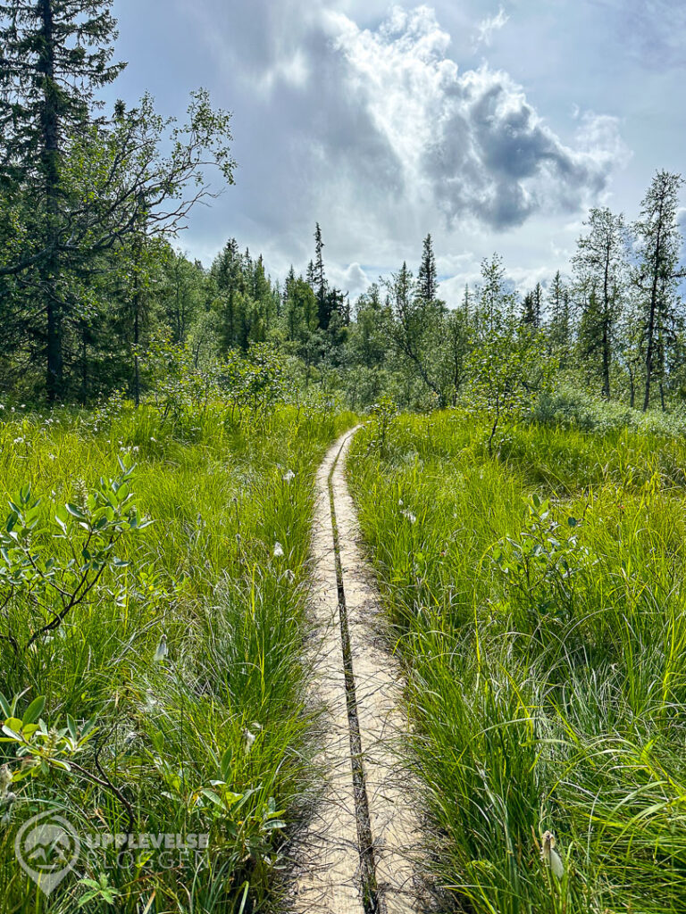 Spänger längs Långa Bergsturen på Funäsldalsberget