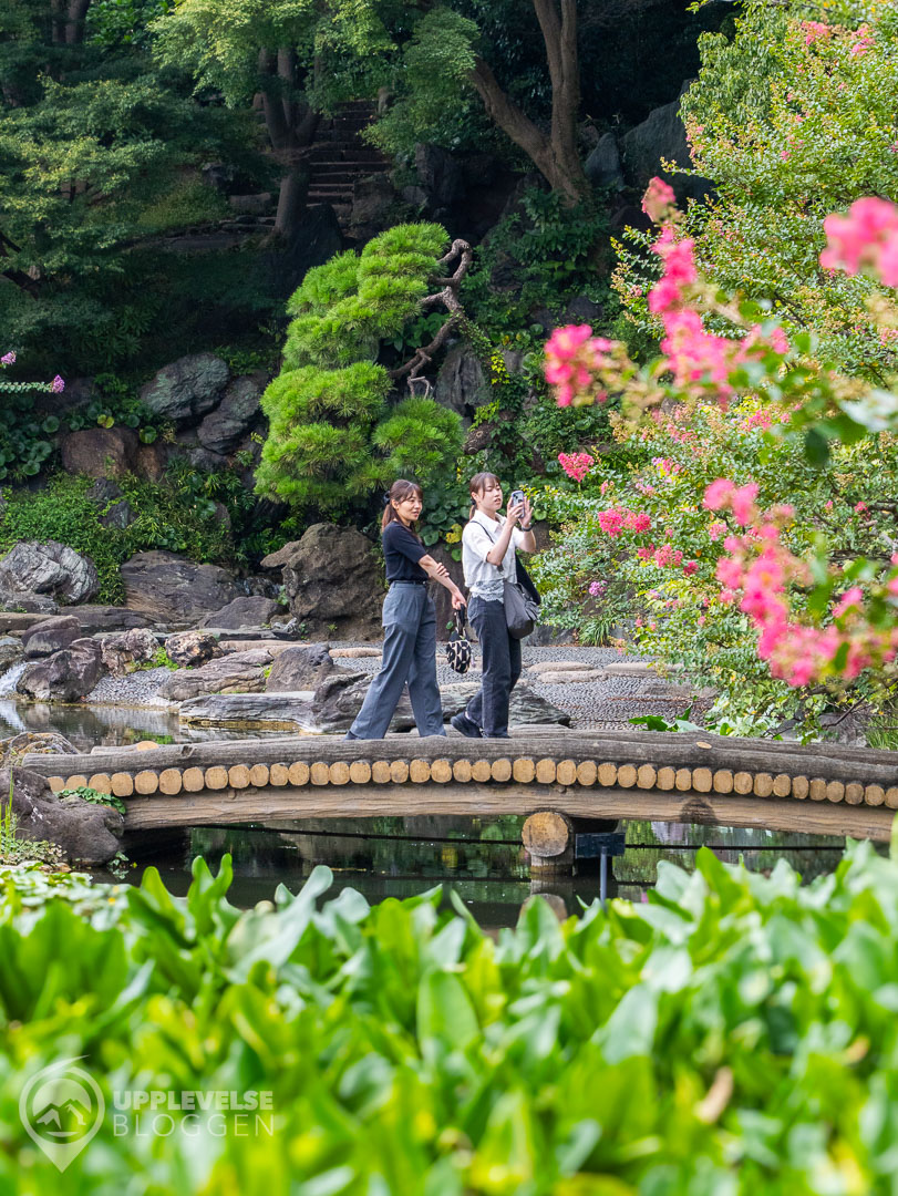 Ninomaru Garden