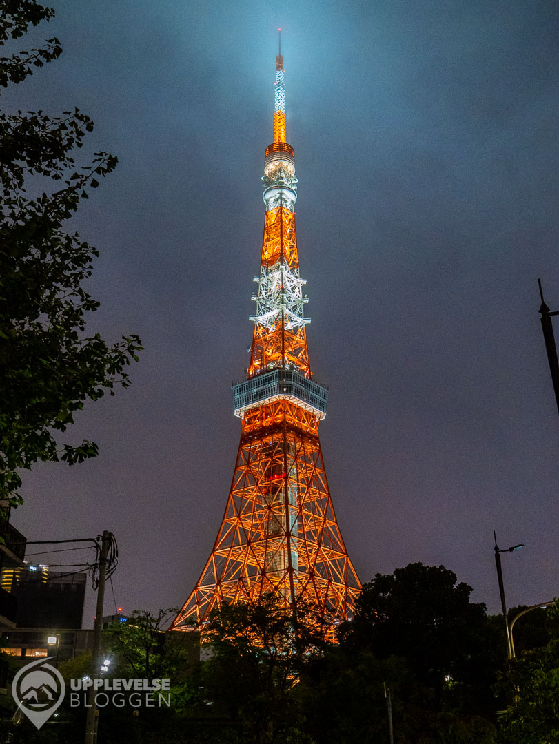 Tokyo Tower på kvällen
