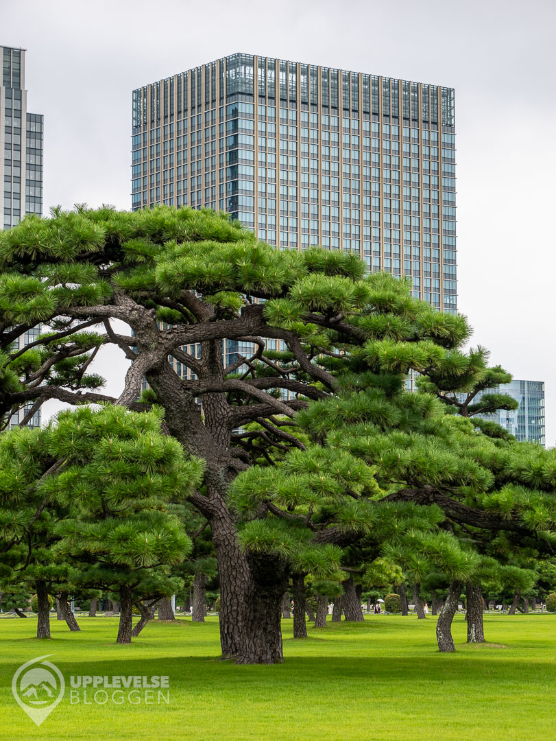 Imperial Palace East National Gardens