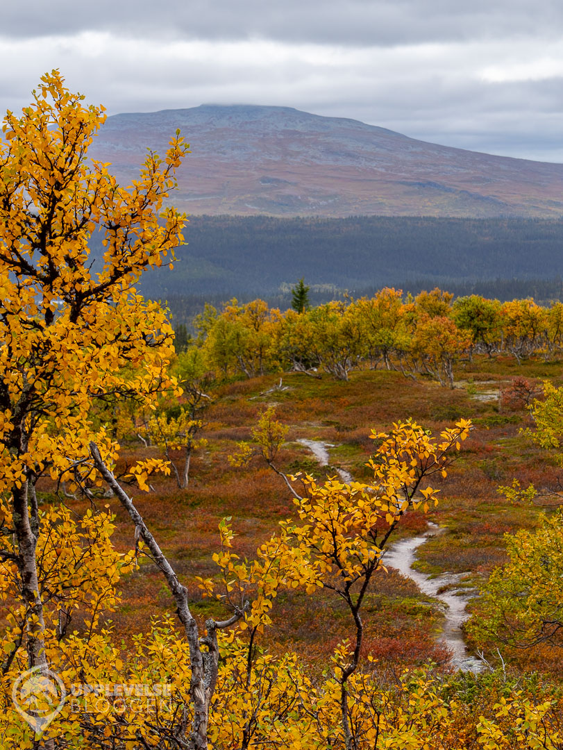 Utsikt från Evagraven