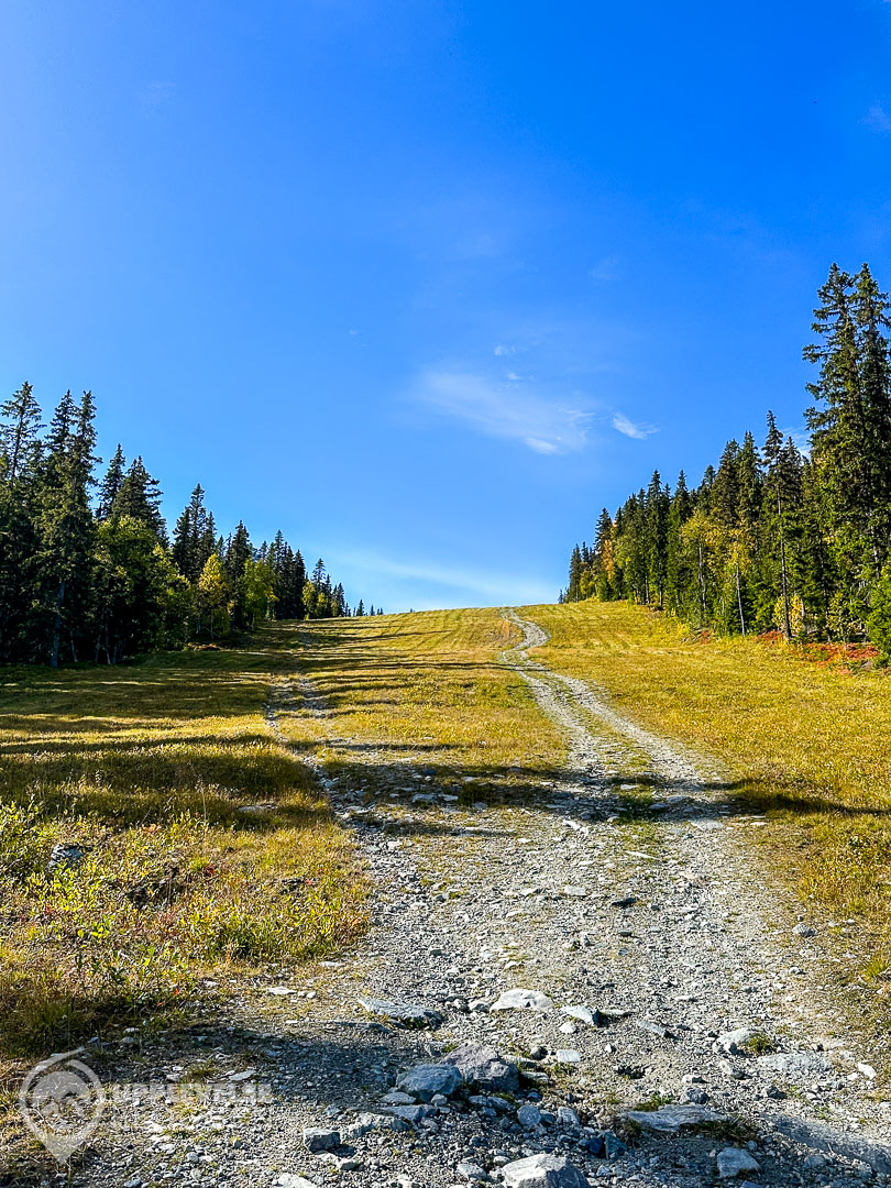Springa i skidbacken Gärdet på Funäsdalsberget