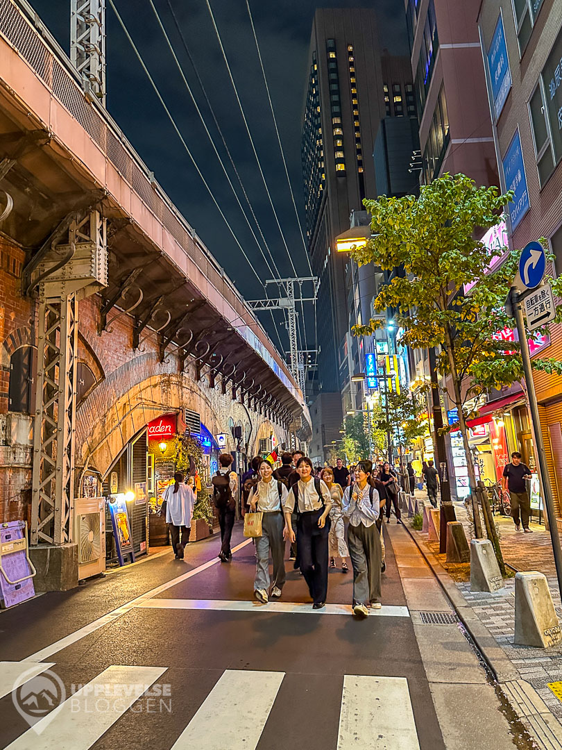 Fredagkvällen i Ginza