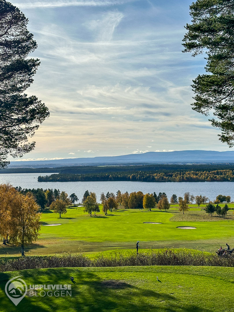 Golf på Frösön i september
