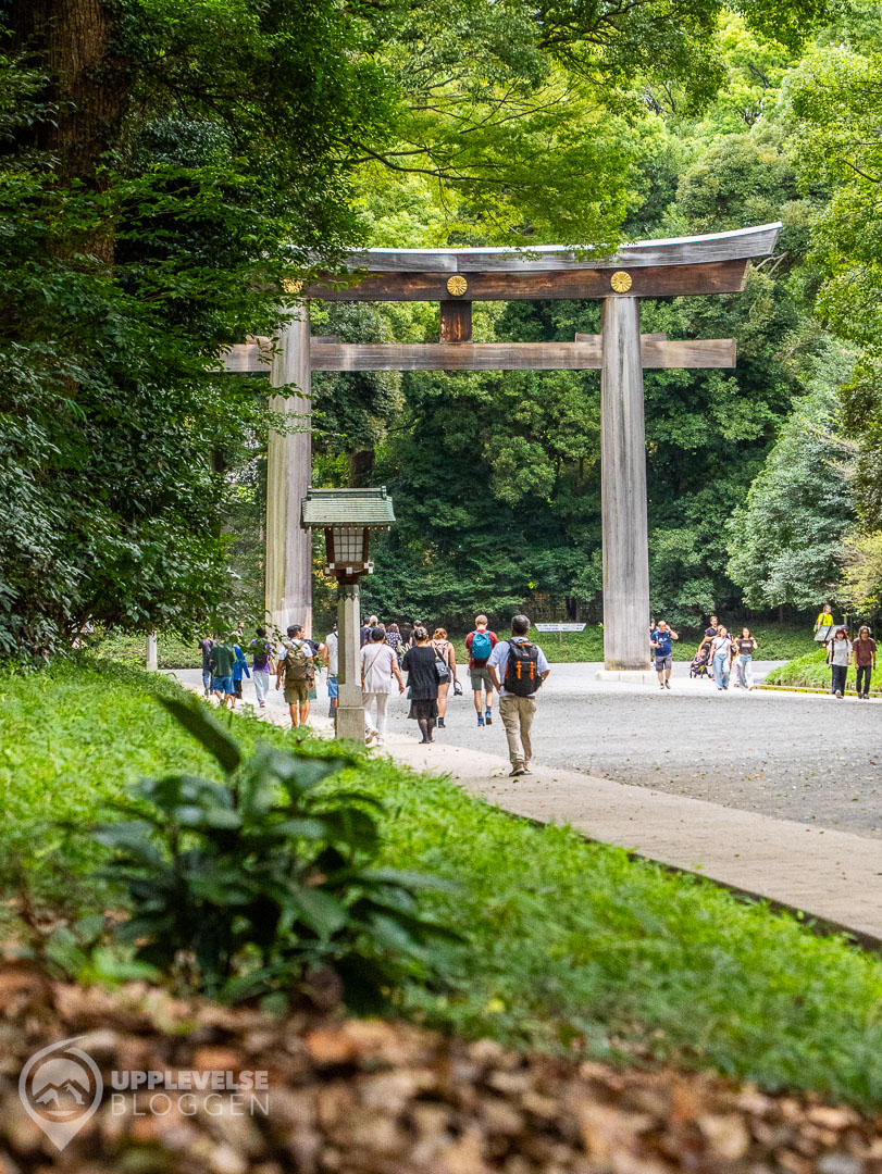 Meiji Jingu i Tokyo