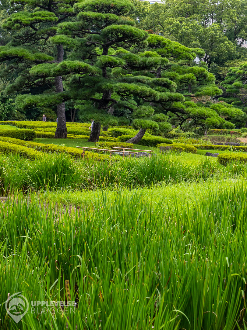 Ninomaru Garden vid Kejsarpalatset i Tokyo