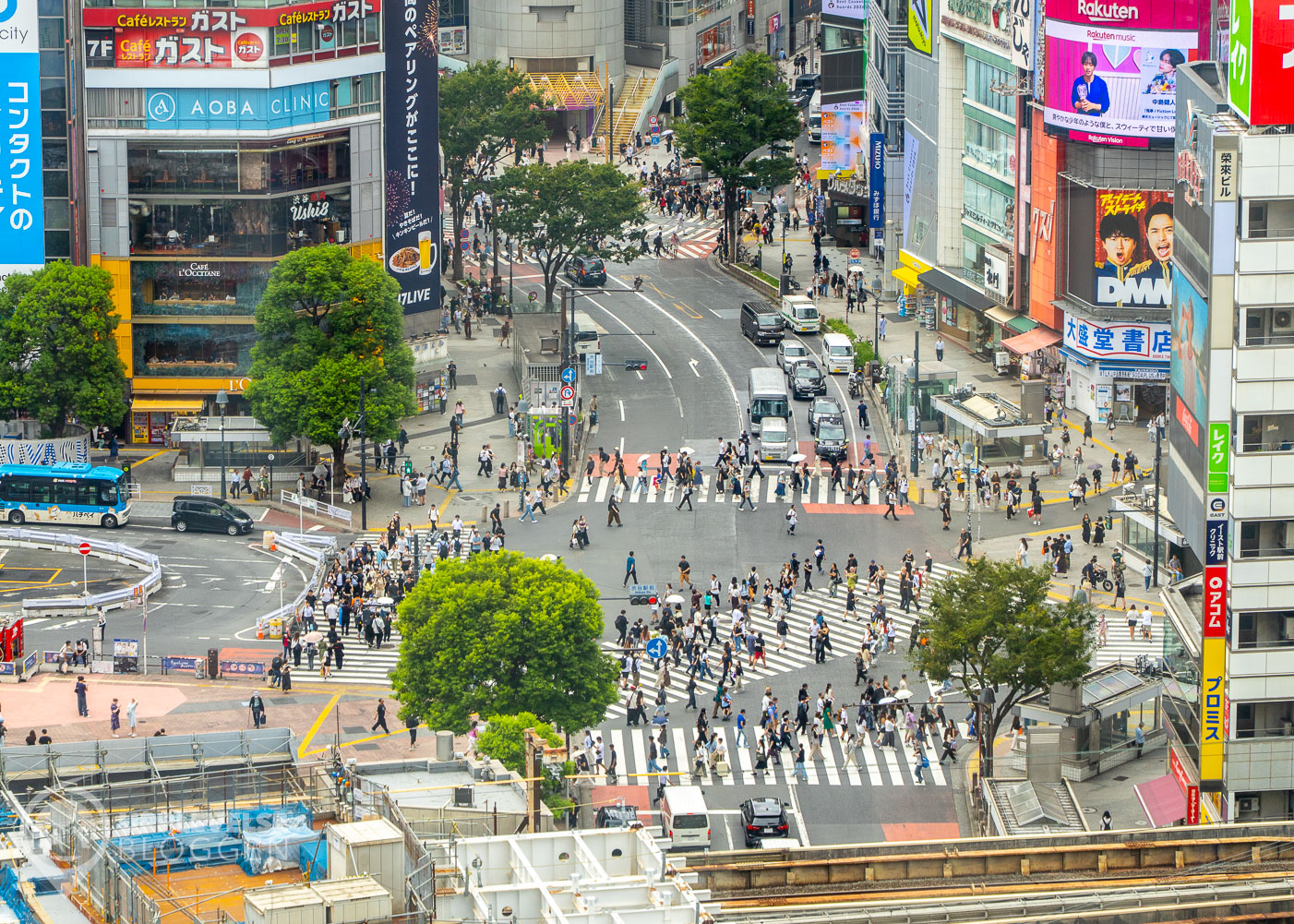 Shibuya Crossing